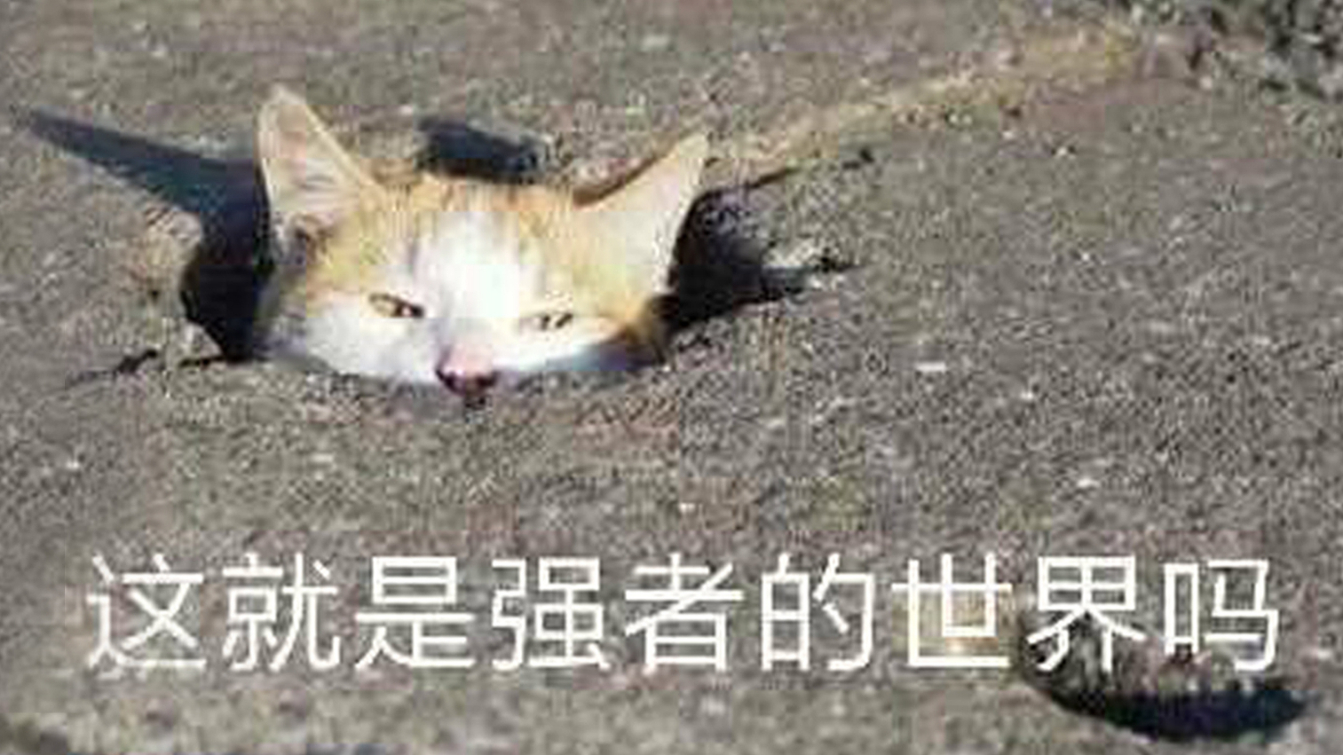 千万不要跟声优斗表情包,否则你将毫无胜算【26】